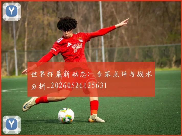 世界杯最新动态：专家点评与战术分析_20260526125631