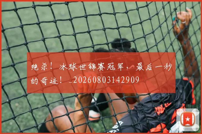 绝杀！冰球世锦赛冠军，最后一秒的奇迹！_20260803142909