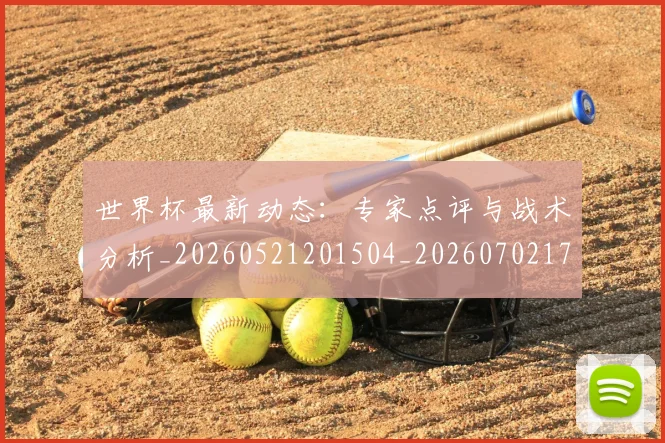 世界杯最新动态：专家点评与战术分析_20260521201504_20260702173908_20260715190657