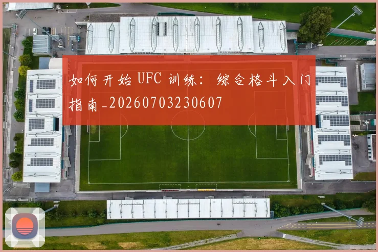 如何开始 UFC 训练：综合格斗入门指南_20260703230607